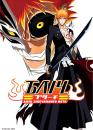 Бліч: Лють запечатаного меча / Bleach OVA: The Sealed Sword Frenzy (2006)