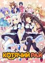 Котячий рай / Nekopara (2017)