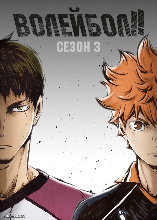 постер Волейбол!! 3 / Haikyu!! Karasuno High School vs Shiratorizawa Academy (2016)