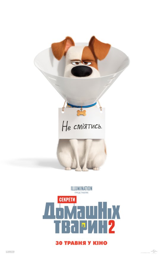 постер Секрети домашніх тварин 2 / The Secret Life of Pets 2 (2019)