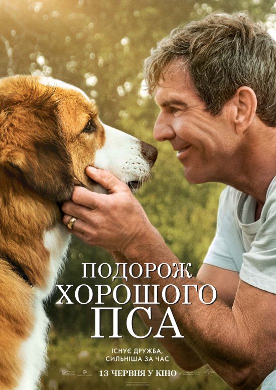 постер Подорож хорошого пса / A Dog's Journey (2019)