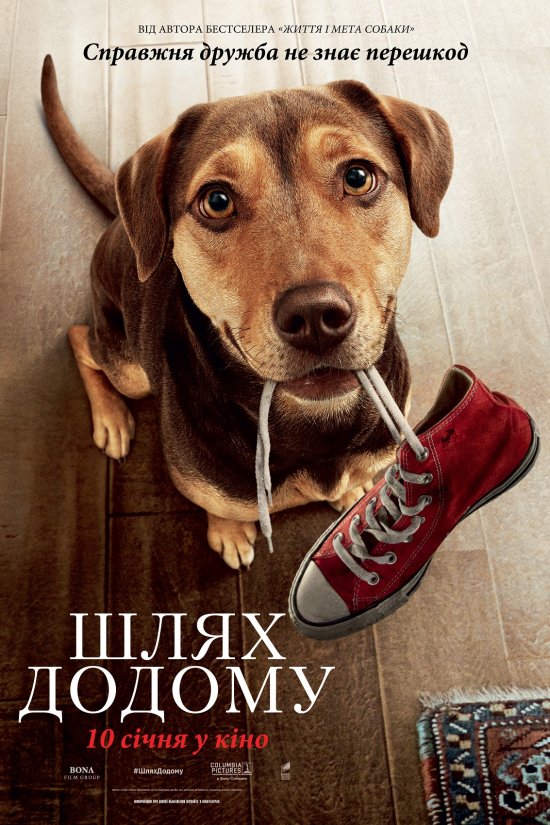 постер Шлях додому / A Dog's Way Home (2019)
