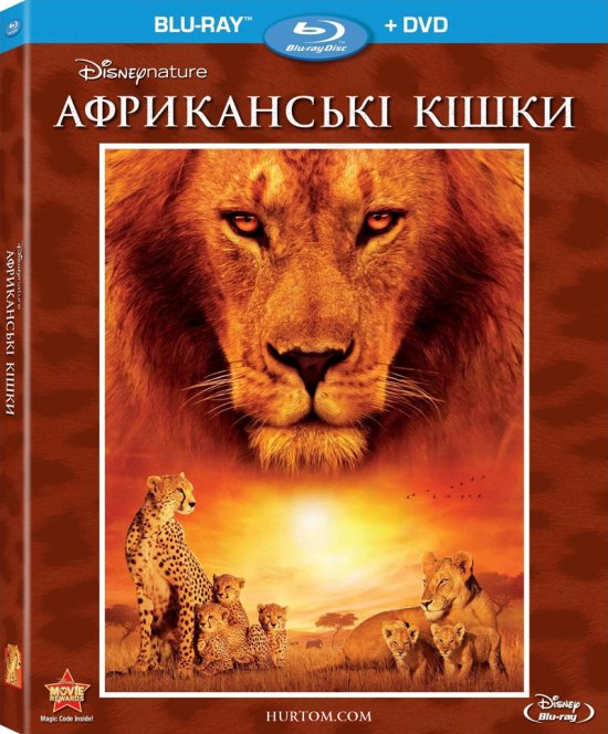 постер Африканські кішки / African Cats (2011)