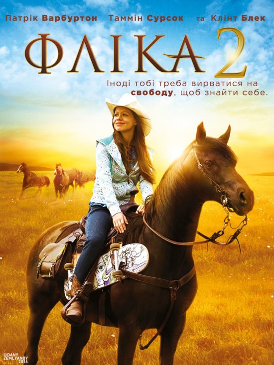 постер Фліка 2 / Flicka 2 (2010)