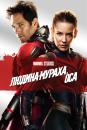 Людина-мураха та Оса / Ant-Man and the Wasp (2018)