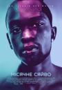 Місячне сяйво / Moonlight (2016)