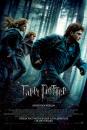 Гаррі Поттер та Смертельні реліквії. Частина перша / Harry Potter and the Deathly Hallows: Part 1 (2010)