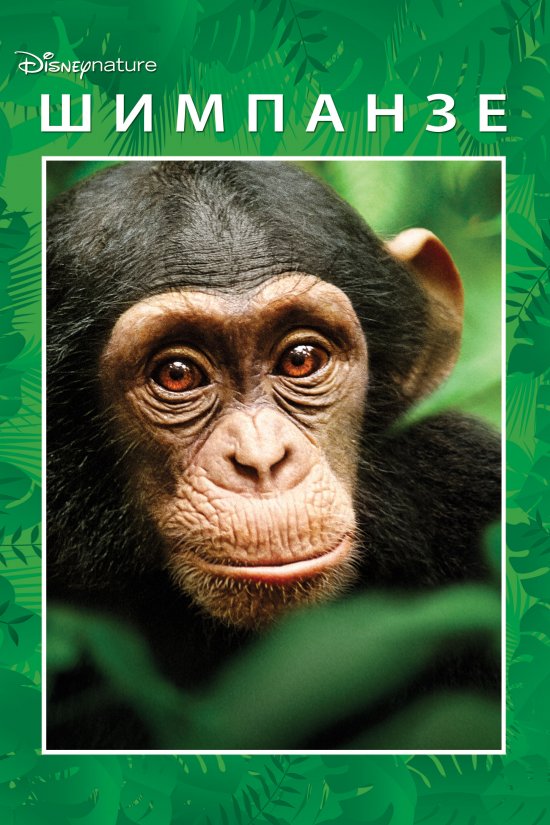 постер Шимпанзе / Chimpanzee (2012)