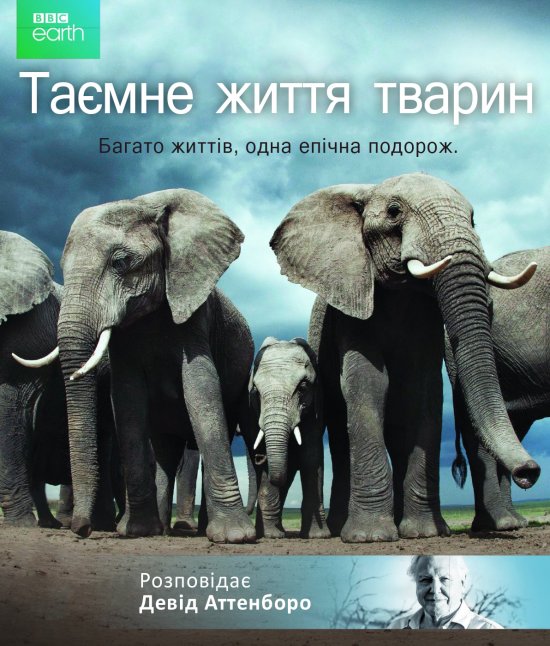 постер Таємне життя тварин / Life Story (2014)