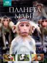 Планета мавп / Monkeys Revealed (2014)