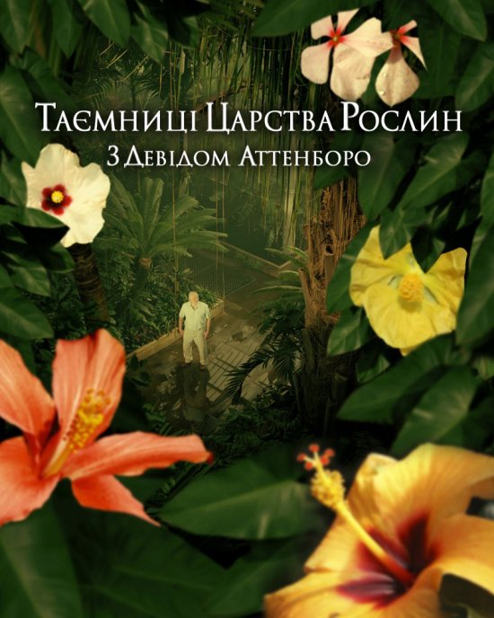 постер Таємниці царства рослин / Kingdom of Plants (2012– )